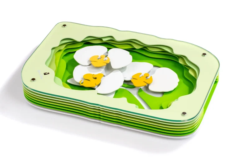 The Orchid Tray by Yossi Shua